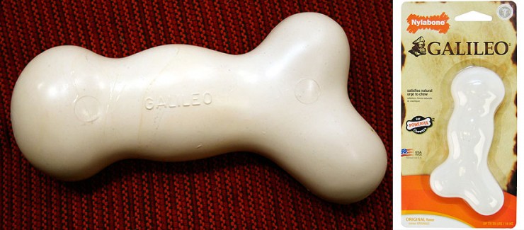 The Nylabone Galileo  Billed as a toy for powerful chewers ouch!