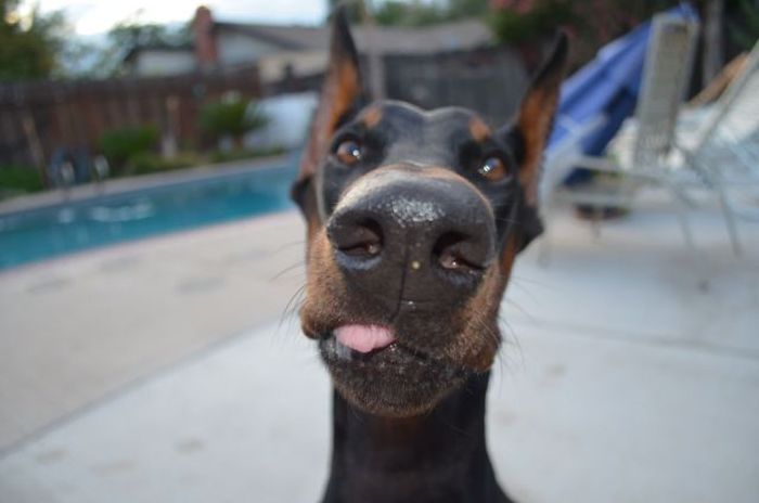 No Relevance Intended