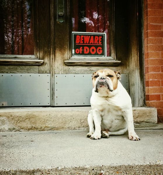 No Relevance Intended