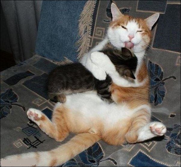 No Relevance Intended