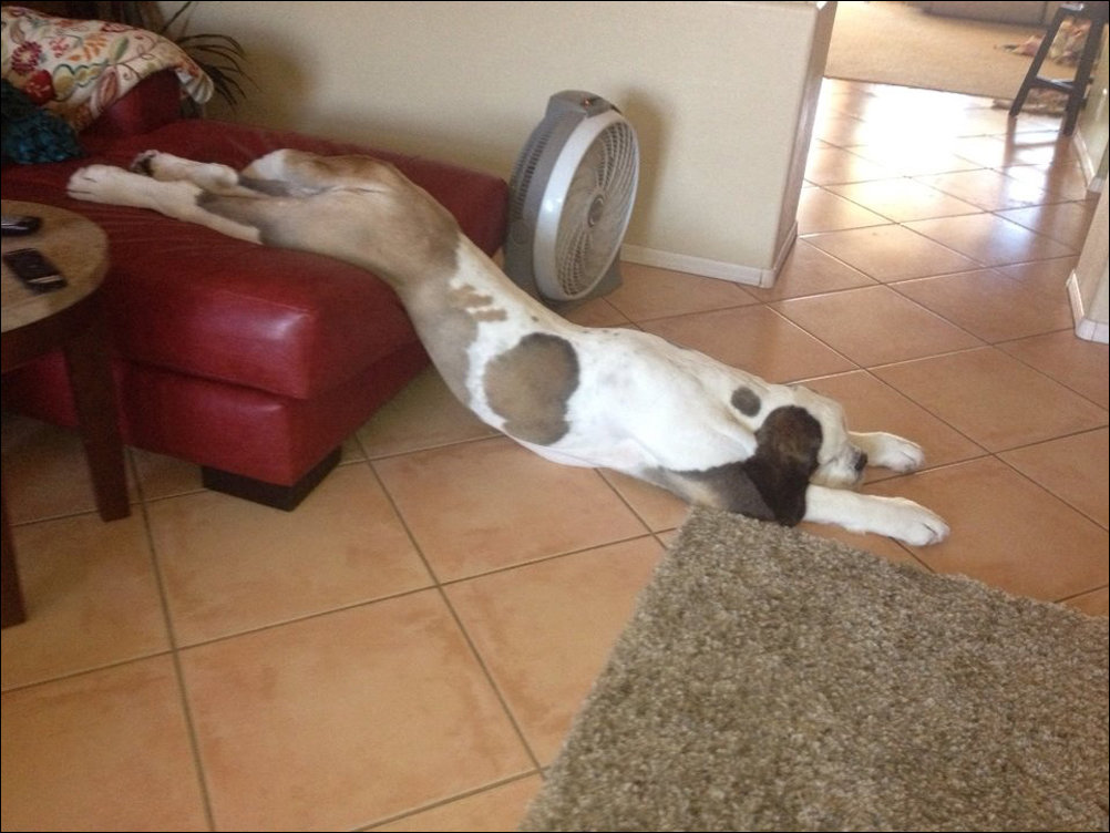 No Relevance Intended