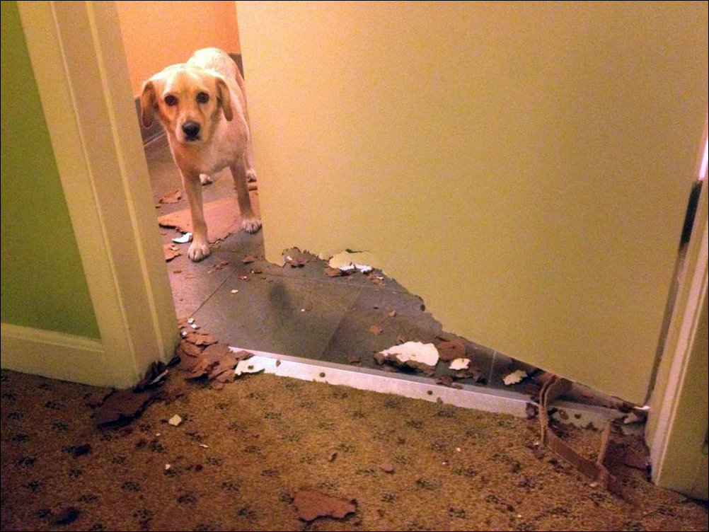 No Relevance Intended