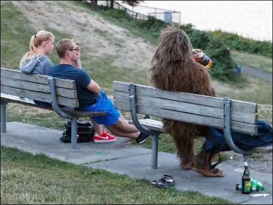 No Relevance Intended