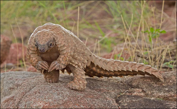 No Relevance Intended