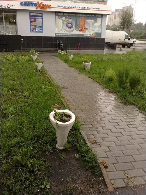 No Relevance Intended