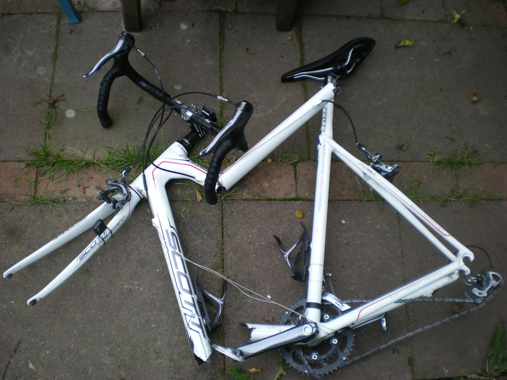 No Relevance Intended