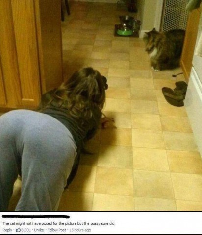 No Relevance Intended