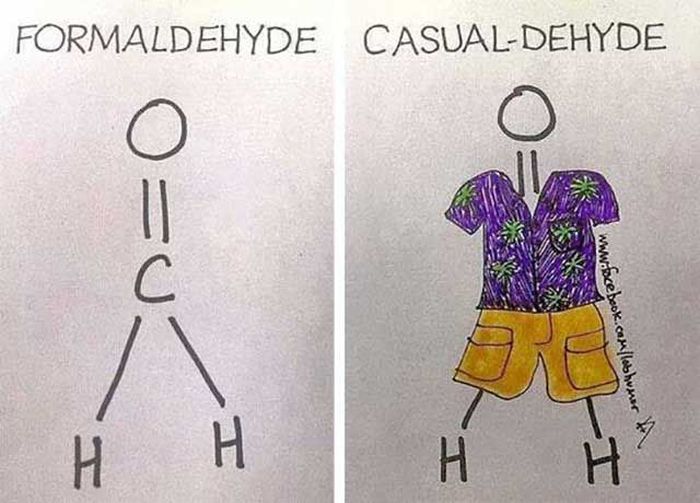 pun genius puns - I Formaldehyde CasualDehyde H