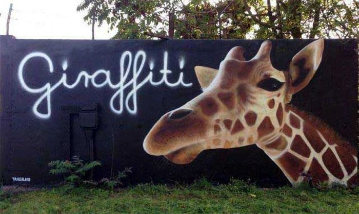 pun giraffe graffiti - Giraffiti Tanerin