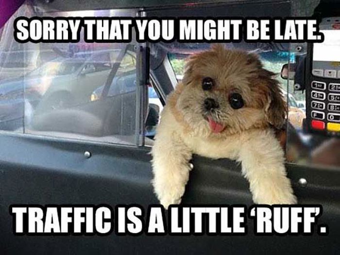 pun really rustled my jimmies - Sorry That You Might Be Late 7 6 0 Traffic Is A Little Ruff.