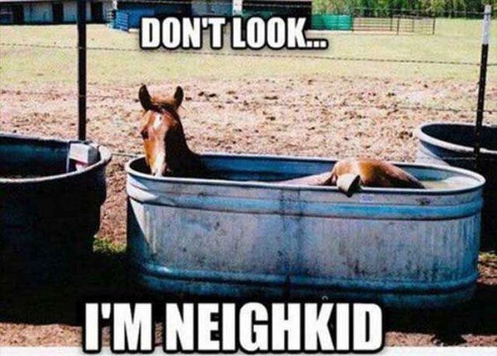 pun don t look i m neigh kid - Don'T Look.. I'M Neighkid