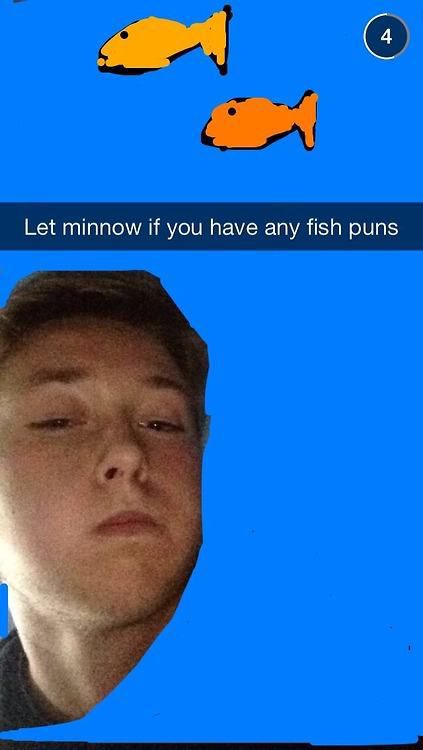 pun photo caption - Let minnow if you have any fish puns