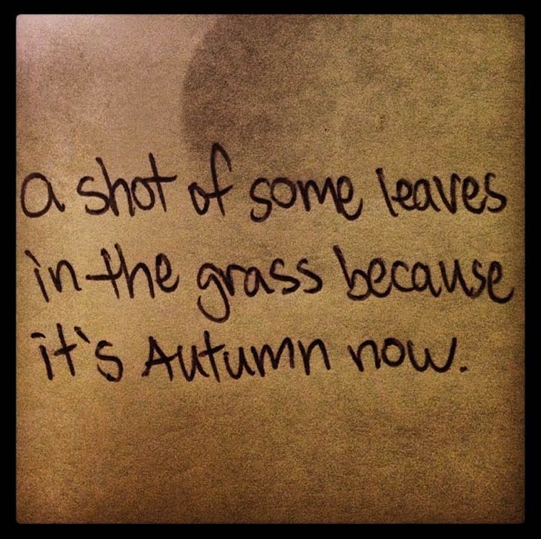 descriptions for instagram - a shot of some leaves in the grass because it's Autumn now.