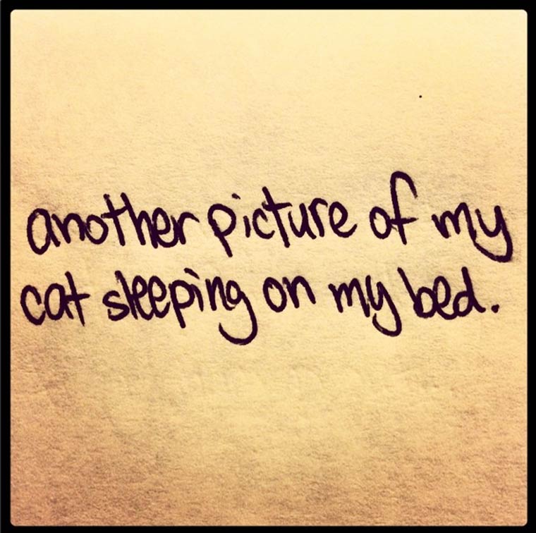 handwriting - another picture of my cat sleeping on my bed.