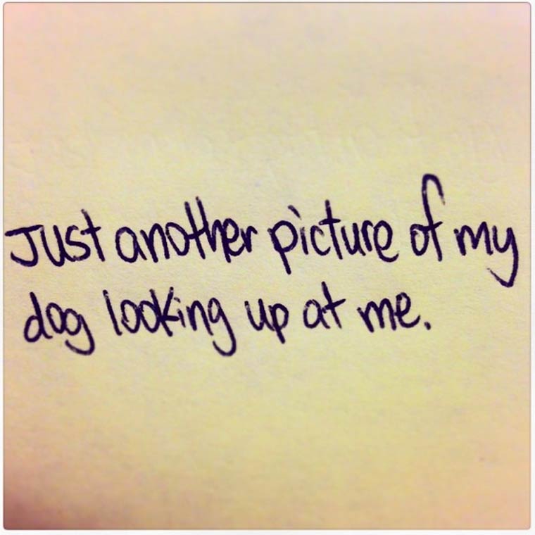 handwriting - Just another picture of my dog looking up at me.