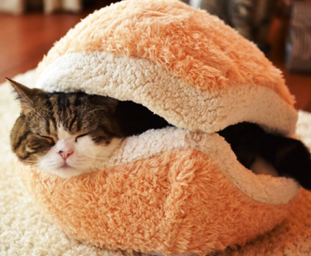 Cats love squeezing into cozy warm things so this original hamburger cat home might become your pets new favorite place to sleep.