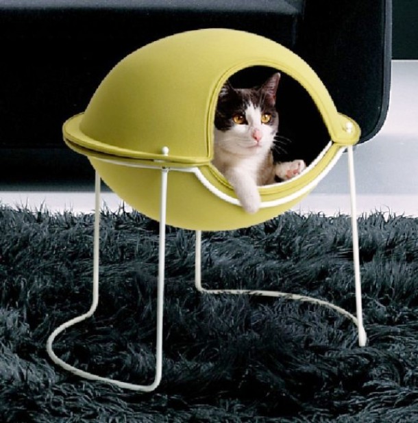 No matter if it resembles a flying saucer, barbecue or nutshell, cats just like it.