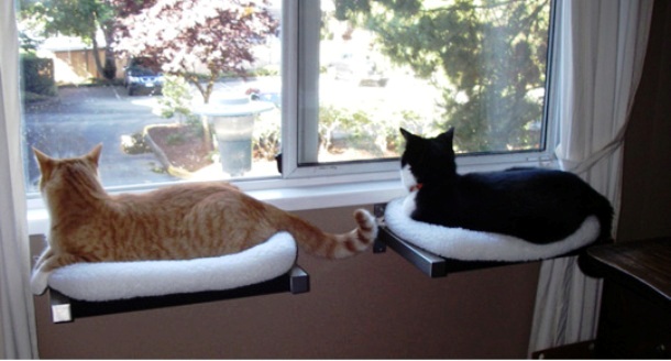 Cats are always curious about the outside and will certainly appreciate these window shelves.