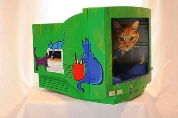 Should your cat or you be a computer geek, there is a solution too