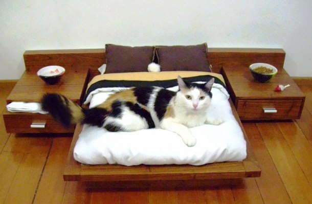 However, this luxurious fully-equipped mini-bed is something that every cat has to dream about.