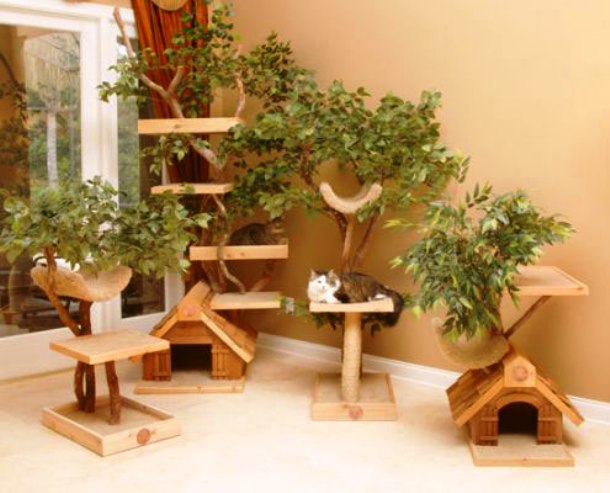 And if the grass table is not impressive enough for your cat, get her a real tree house.
