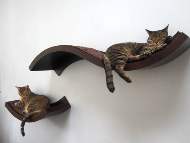 These shelves will  provide a great resting place for your kitties and serve as a nice wall decoration.