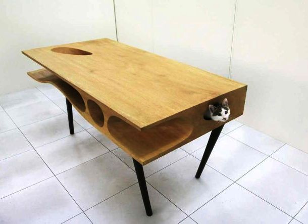 Enabling you to work and your cat to play without jumping on your keyboard, this awesome table seems to be an all cat owners must-have.