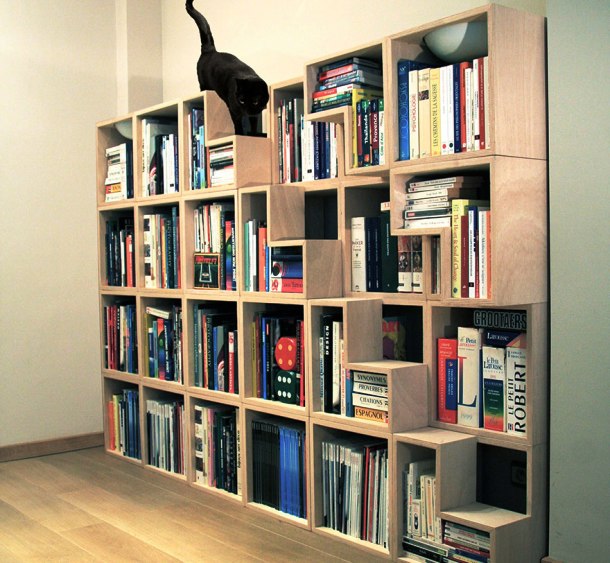 Easy and comfortable access to all the books will certainly make your cat happy.