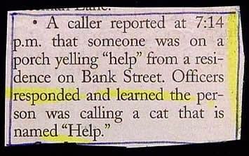 News Stories That You'd Only See in Small Towns