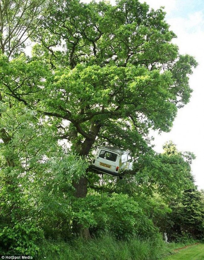 car up in tree - 32 Am HotSpot Media