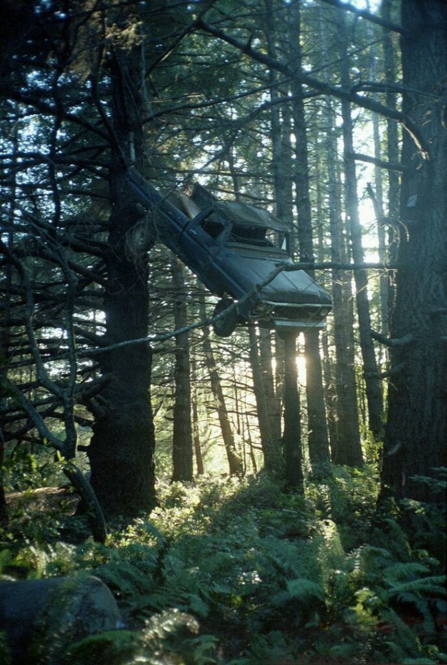 ford hanging tree