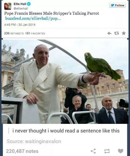 random pic pope blesses parrot - A Ellie Hall Colllevhall Pope Francis Blesses Male Stripper's Talking Parrot buzzfeed.comellievhallpop... 236 191 Favorites i never thought i would read a sentence this Source waitinginavalon 220,487 notes