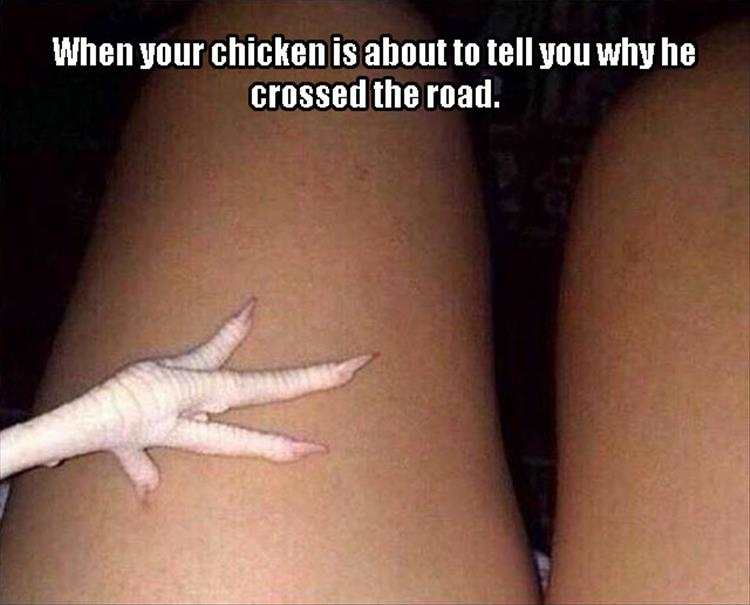 girl - When your chicken is about to tell you why he crossed the road.