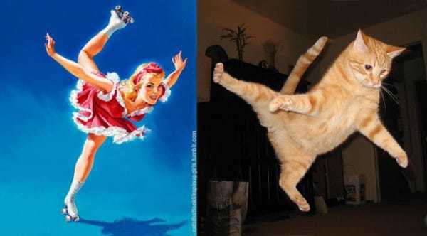 Pin-Up Models vs Cats