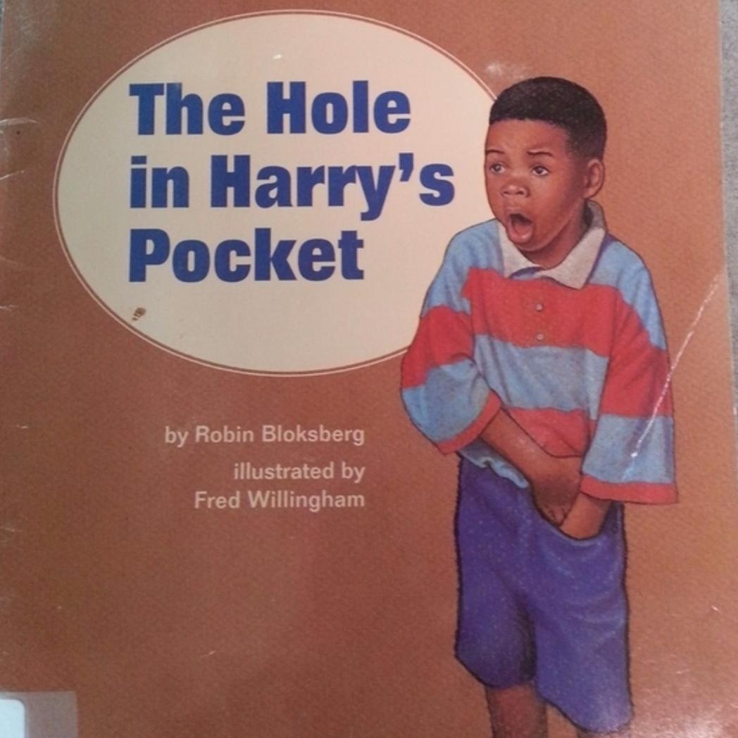 random pic you ll go blind - The Hole in Harry's Pocket by Robin Bloksberg, illustrated by Fred Willingham