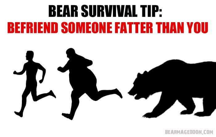 Bear In Mind These Bear Facts In Case of a Grizzly Situation or You May End Up Bruined.