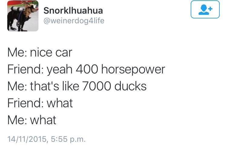 khalid quotes twitter - Snorklhuahua Me nice car Friend yeah 400 horsepower Me that's 7000 ducks Friend what Me what 14112015, p.m.