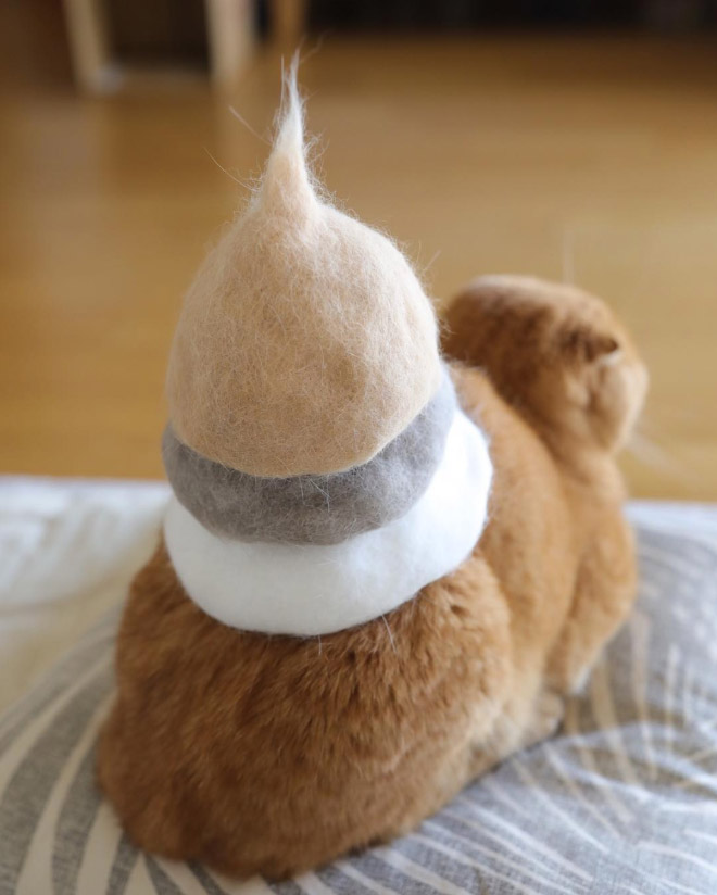 Cats Wearing Hats Made Of Cat Hair