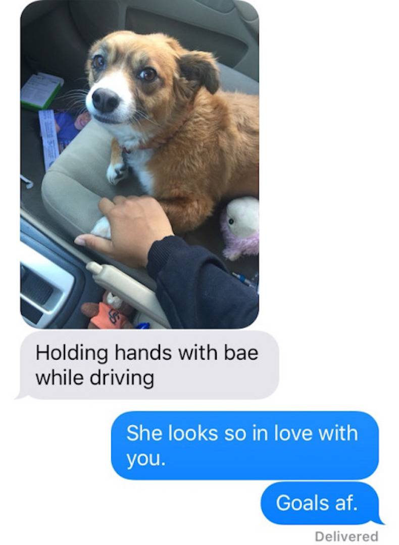 holding dogs hand meme - Holding hands with bae while driving She looks so in love with you. Goals af. Delivered