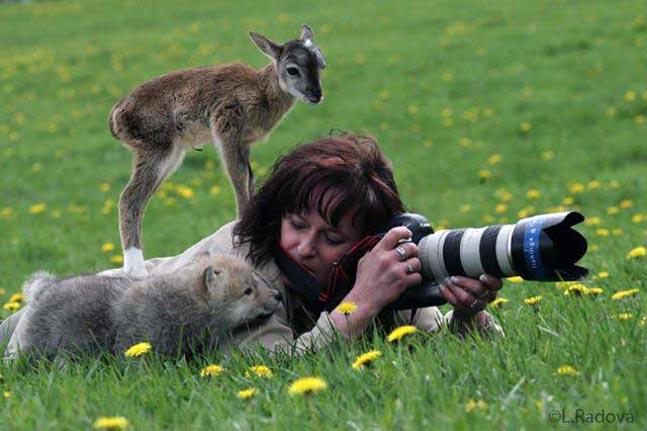 35 Photographers That Will Do Anything For The Perfect Shot