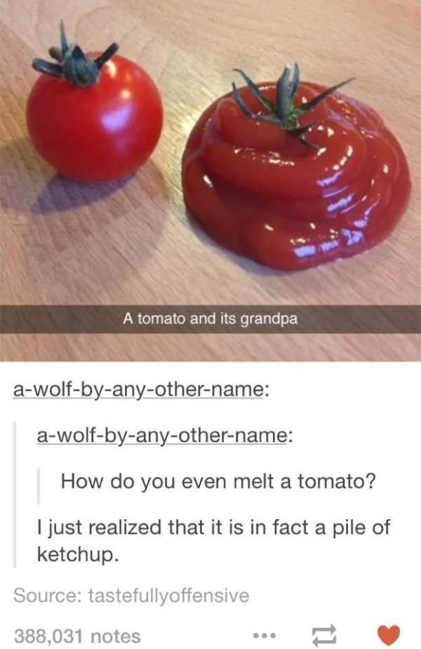 tomatoes meme - A tomato and its grandpa awolfbyanyothername awolfbyanyothername How do you even melt a tomato? I just realized that it is in fact a pile of ketchup. Source tastefullyoffensive 388,031 notes