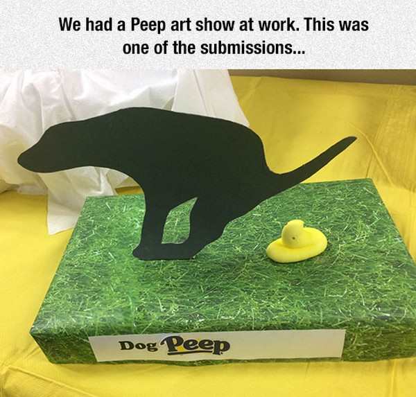 Peep art show of a dog pooping one out.