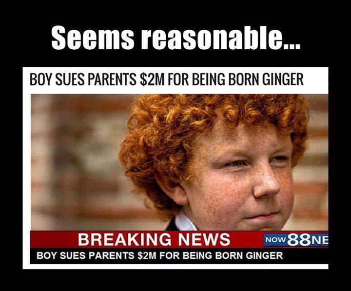boy sues parents for being ginger - Seems reasonable... Boy Sues Parents $2M For Being Born Ginger Breaking News Now 88NE Boy Sues Parents $2M For Being Born Ginger