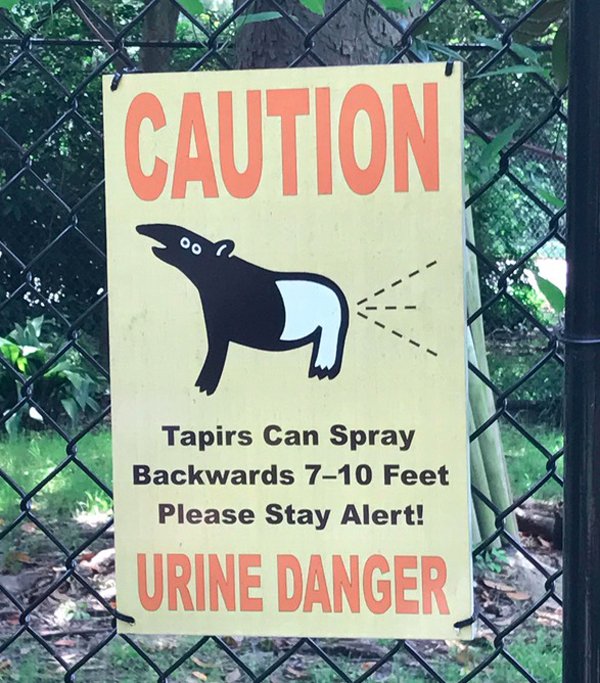 urine danger - Caution Oo Tapirs Can Spray Backwards 710 Feet Please Stay Alert! Urine Danger