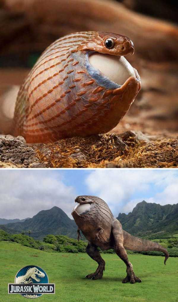 snake swallowing egg - Jurassic World