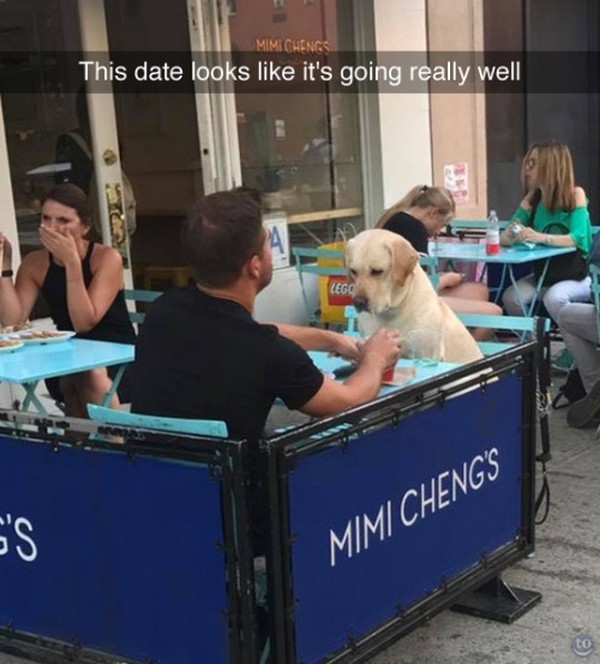 Very funny pic of a man on a date with a dog in a snapchat