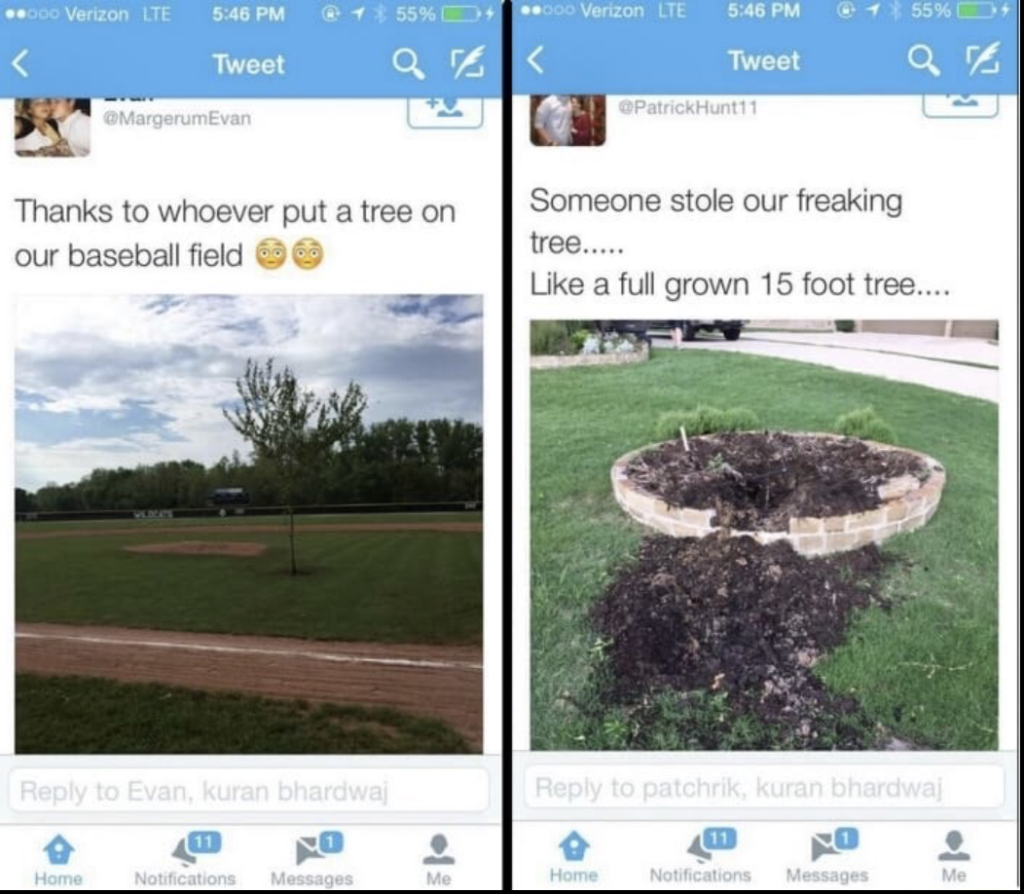 funny meme of someone who planted a tree on their field, and another pic of a tree taht was stolen.