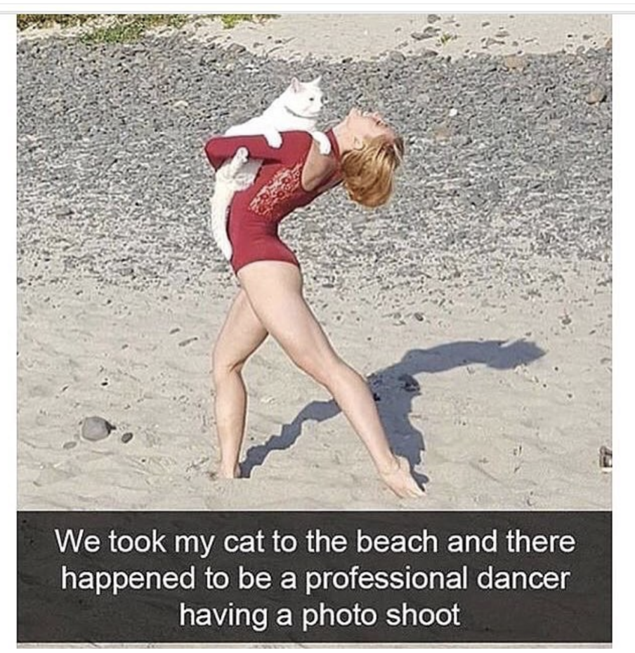 Cat at the beach does photoshoot with professional dancer