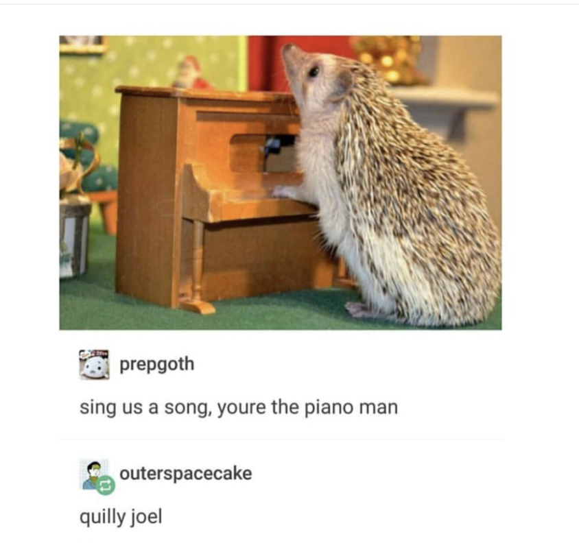 Hedgehog at a mini piano joked as Quilly Joel