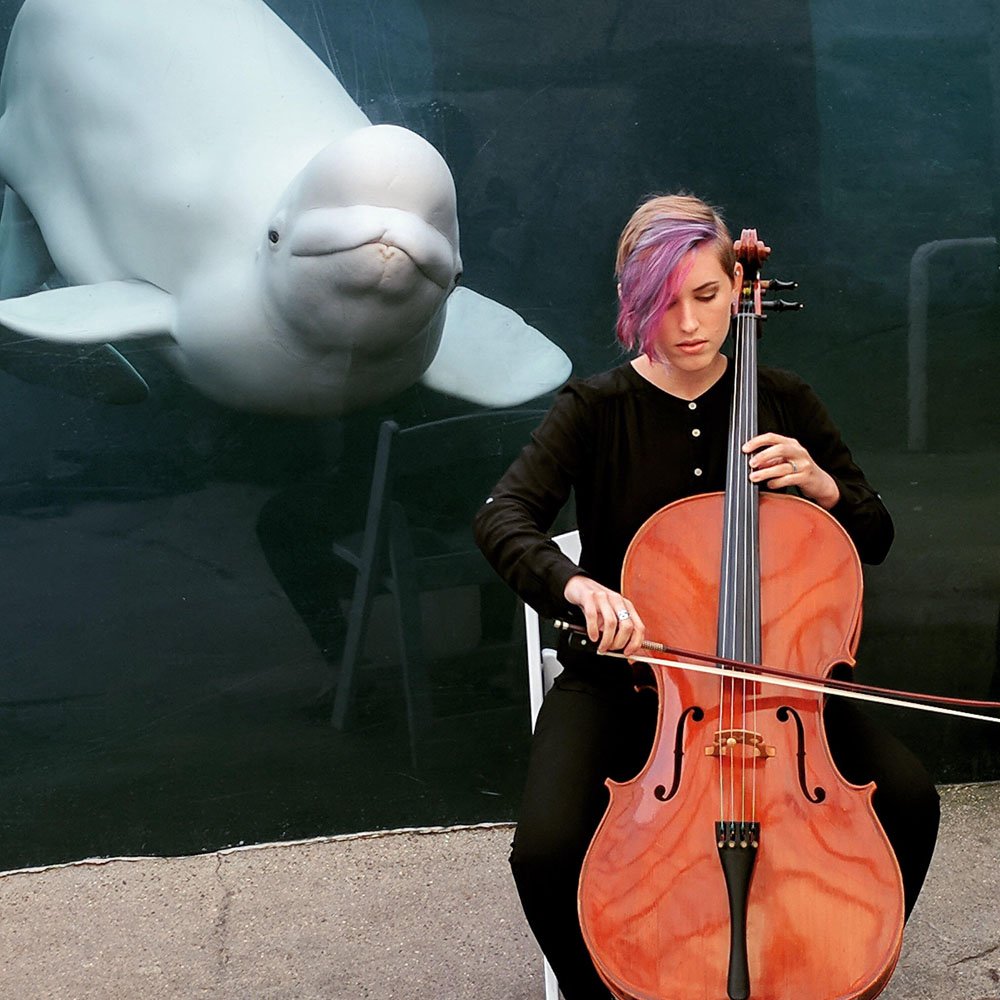 Beluga whale enjoying a woman playing a cello
